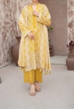 MEHAK Exclusive Lawn Embroidered 10-Piece Set Vol-1 2026 | MEKO Textile